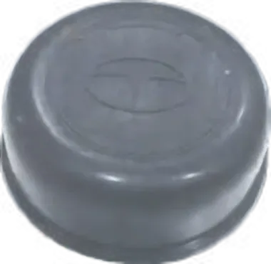 Wheel Cap Indica
