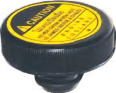 Coolant Bottle Cap Swift