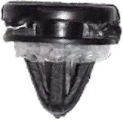 Eye Brow Clip